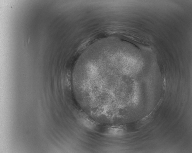 X0000080160175200612302203