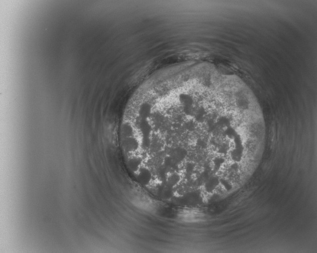 X0000080160177200612302203