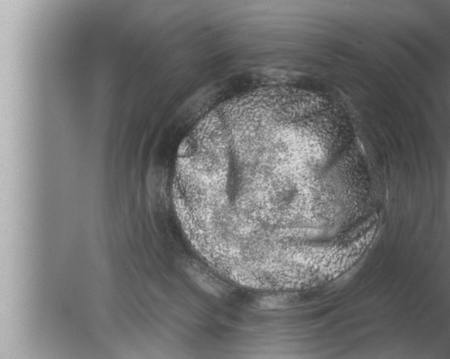 X0000080160178200612302203