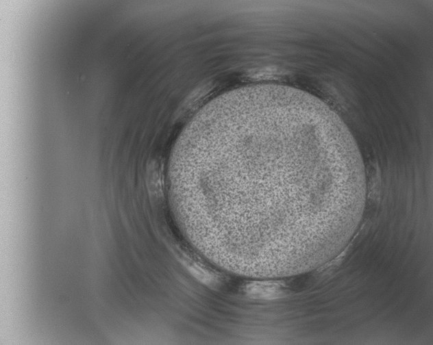 X0000080160179200612302203