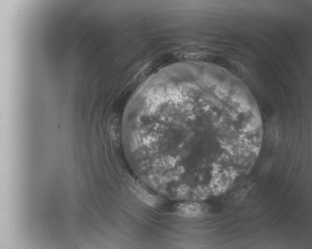 X0000080160181200612302203