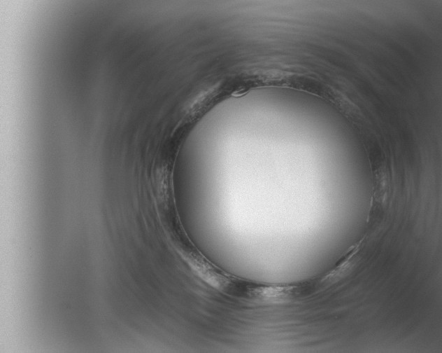 X0000080160184200612302203