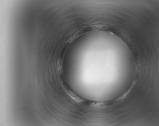 X0000080160186200612302203