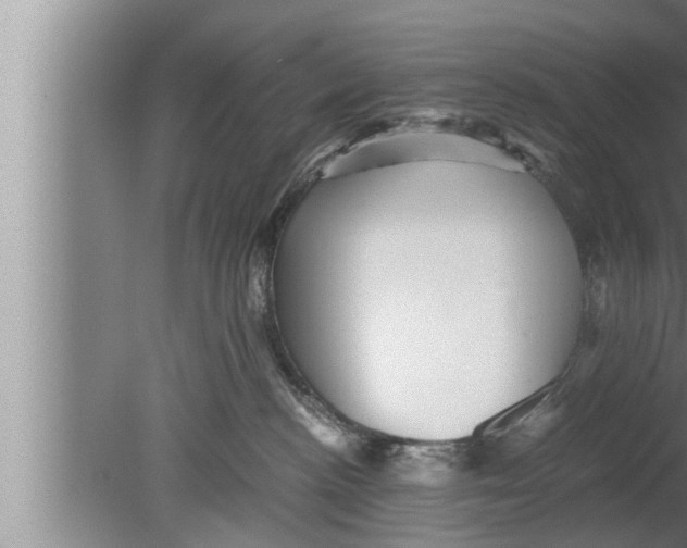 X0000080160188200612302203