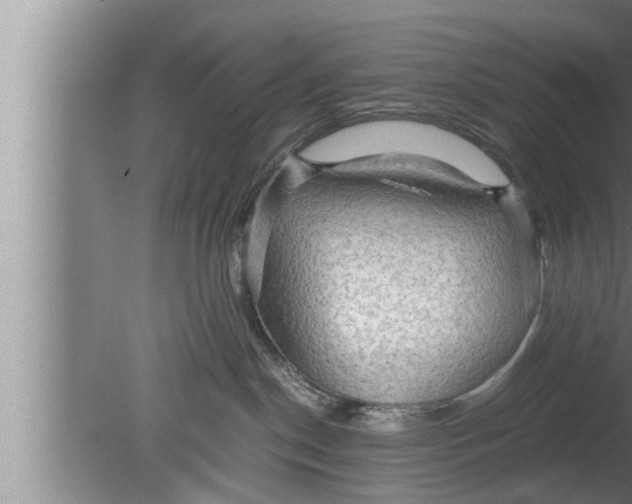 X0000080160190200612302203