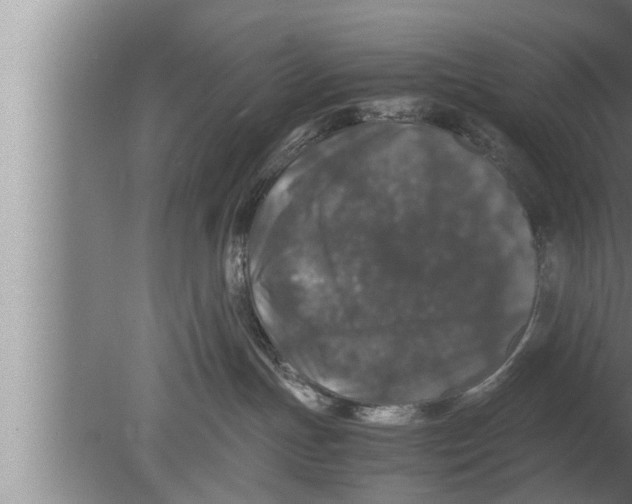 X0000080160191200612302203