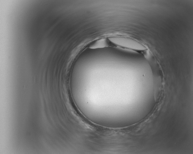 X0000080160193200612302202