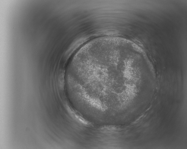 X0000080160194200612302202