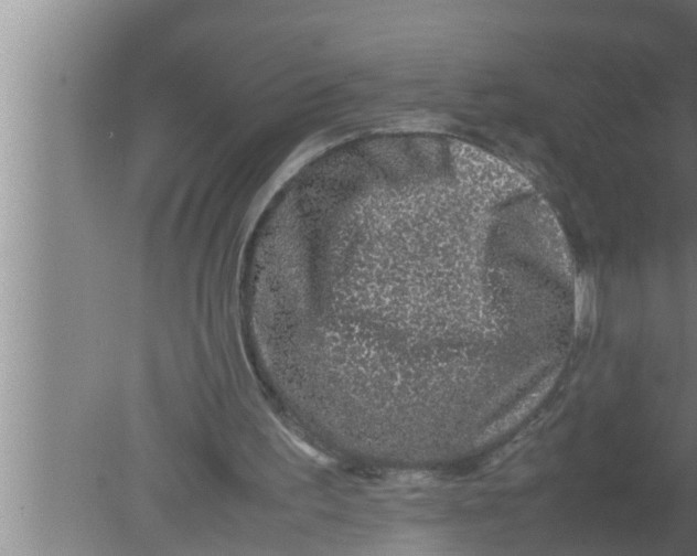 X0000080160195200612302202