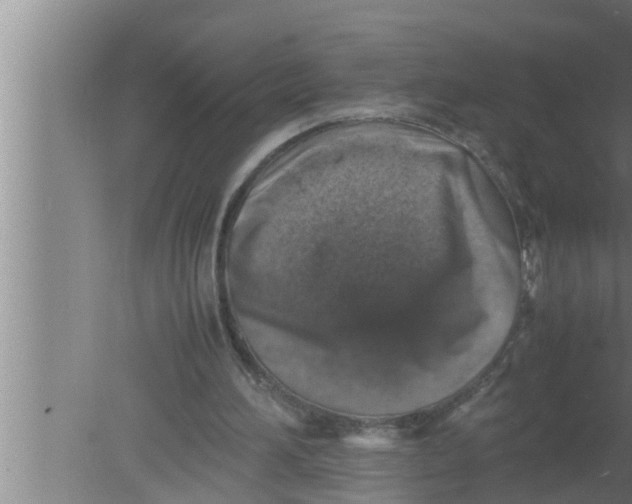 X0000080160196200612302202