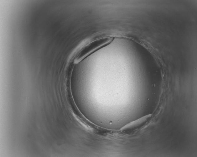 X0000080160197200612302202