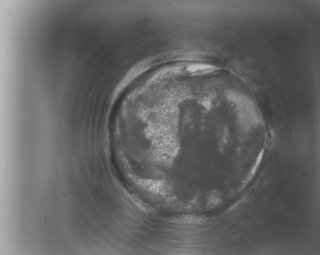 X0000080160198200612302202