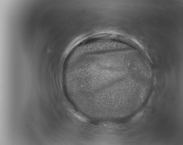 X0000080160199200612302202