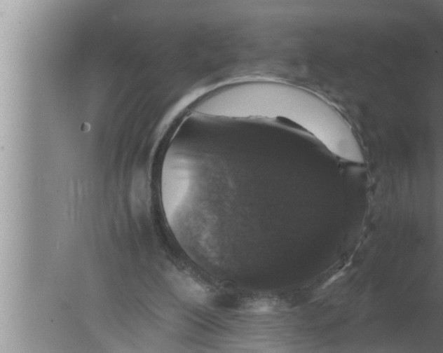 X0000080160200200612302202