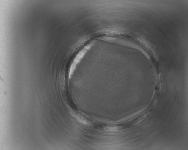 X0000080160202200612302202