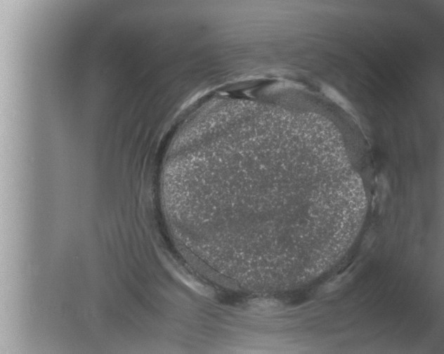 X0000080160203200612302202