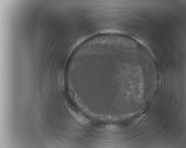 X0000080160204200612302202