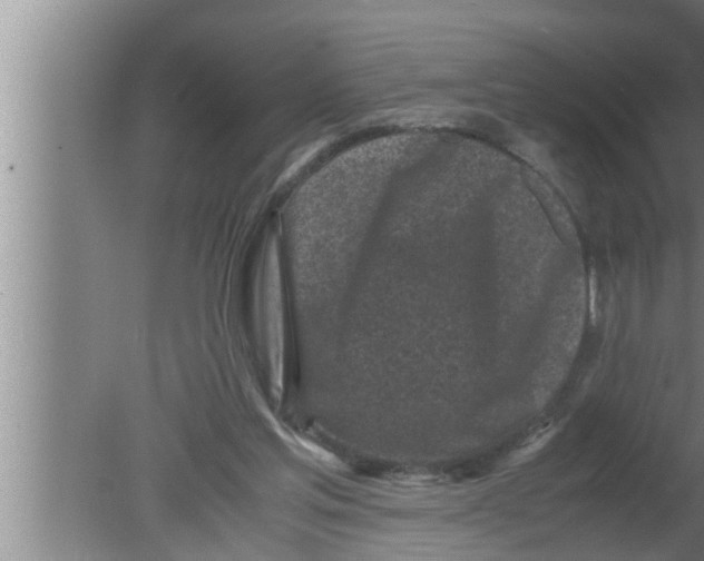 X0000080160205200612302202