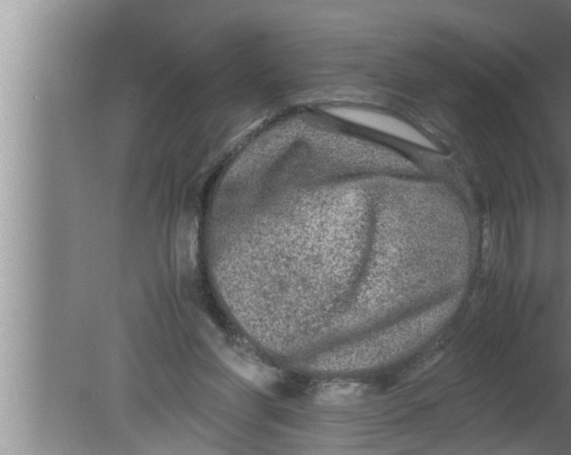 X0000080160206200612302202