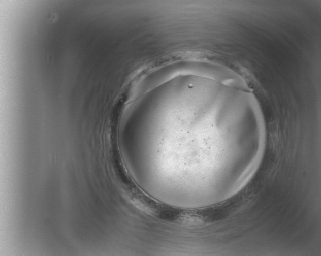 X0000080160207200612302202