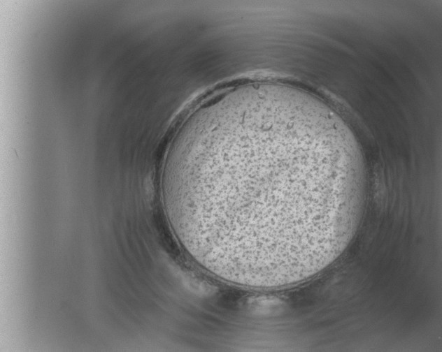 X0000080160208200612302202