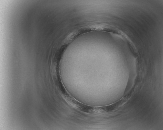 X0000080160209200612302202