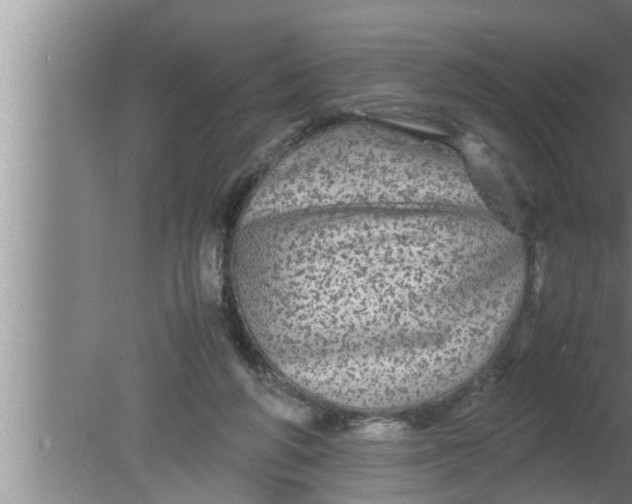 X0000080160210200612302202