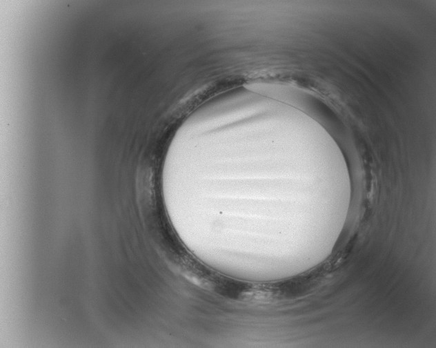 X0000080160211200612302202