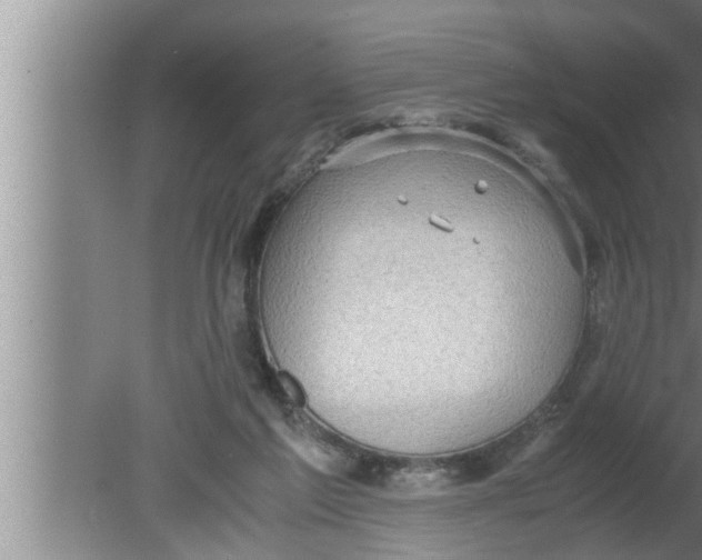 X0000080160213200612302202