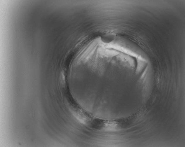 X0000080160214200612302202