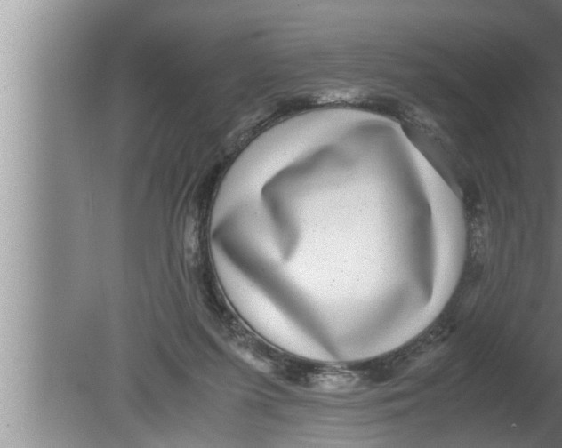 X0000080160215200612302202