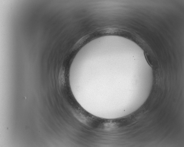 X0000080160216200612302202