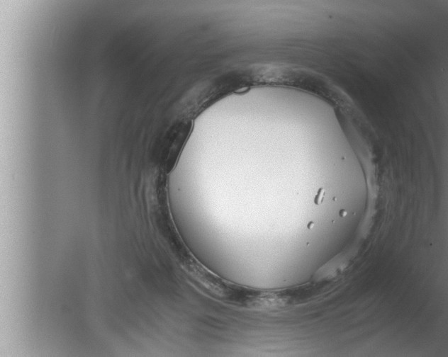 X0000080160217200612302202