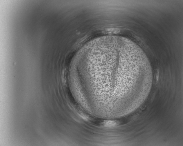 X0000080160218200612302202