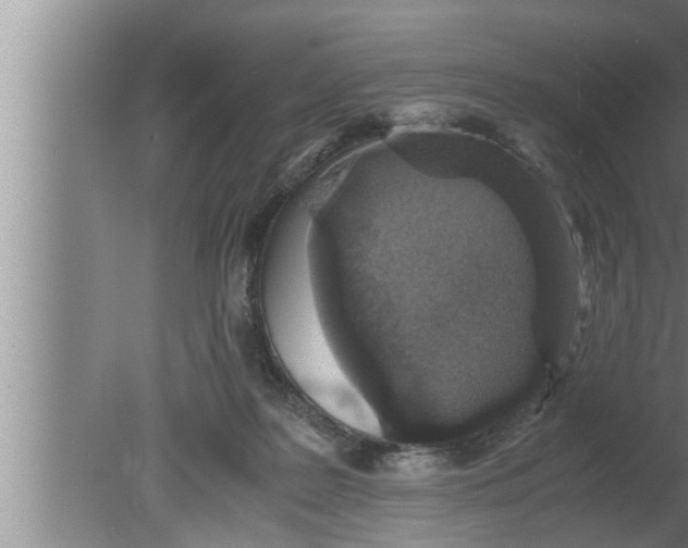 X0000080160219200612302202