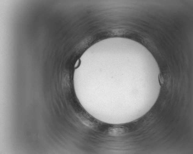 X0000080160220200612302202