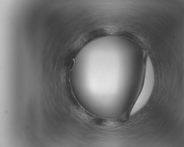 X0000080160221200612302202