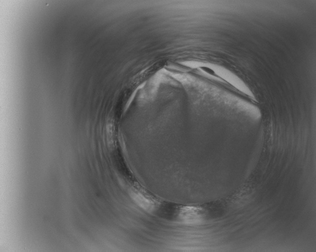 X0000080160222200612302202