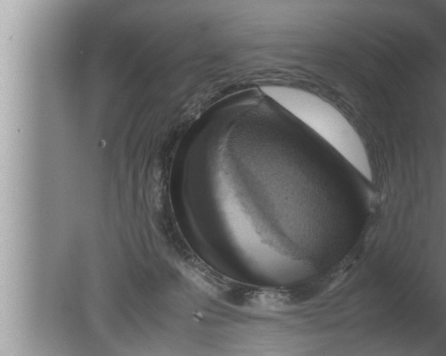 X0000080160223200612302202