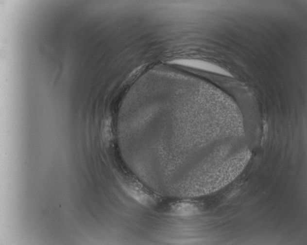 X0000080160224200612302202