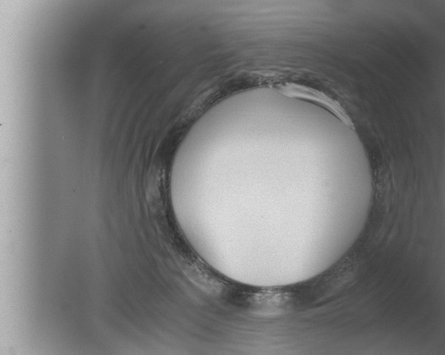 X0000080160225200612302202