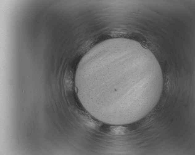 X0000080160226200612302202