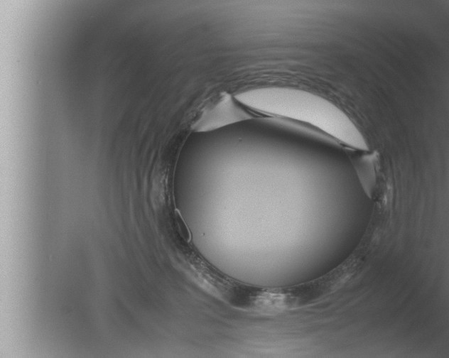 X0000080160227200612302202