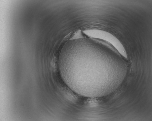 X0000080160228200612302202