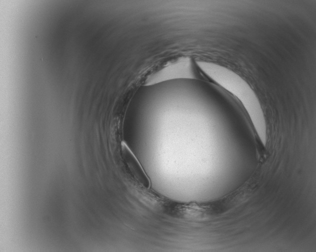 X0000080160229200612302202