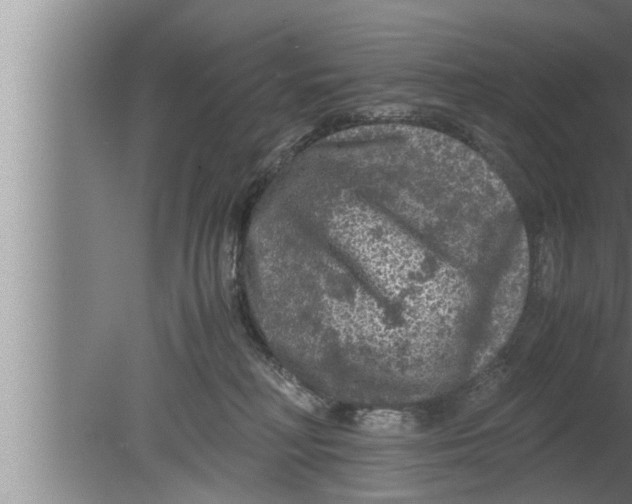 X0000080160230200612302201