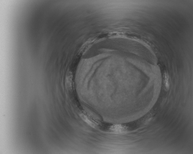 X0000080160231200612302201