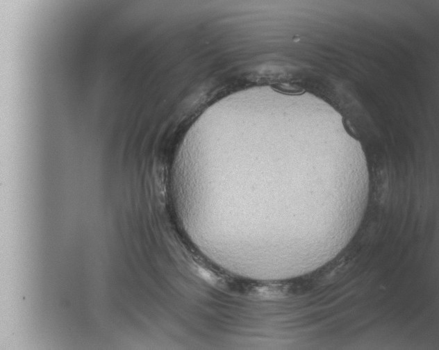 X0000080160232200612302201