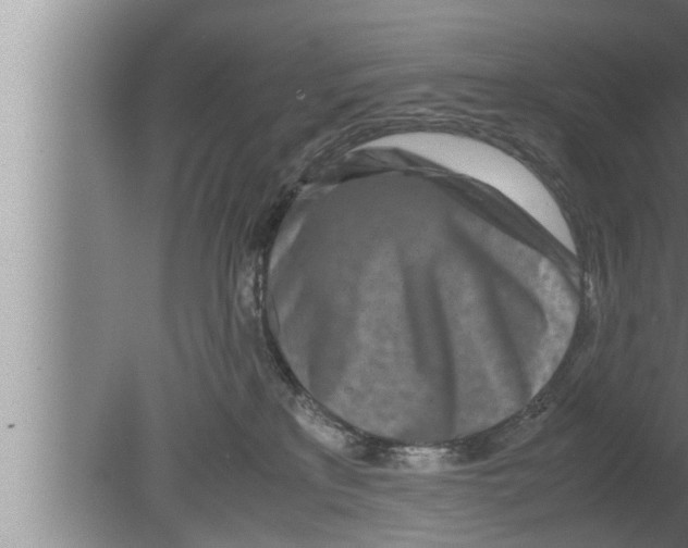 X0000080160233200612302201