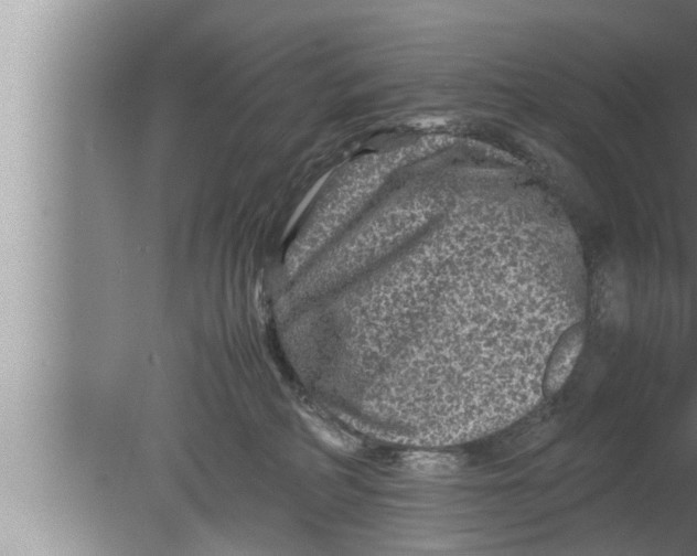 X0000080160234200612302201